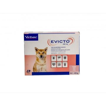 Evicto caini 240mg 20.1 - 40 kg x 4 pipete
