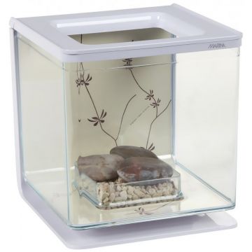 Marina Betta Kit Contemporary13402