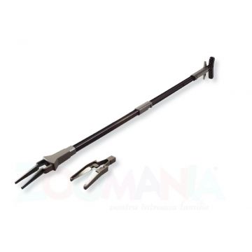 Marina Cleste Plante 11012