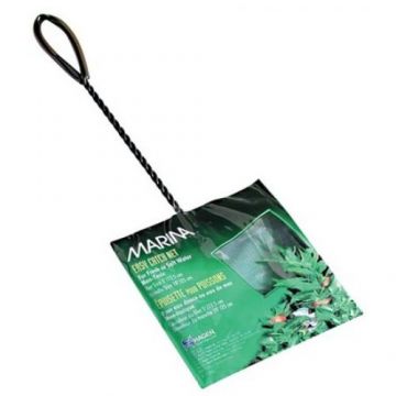 Marina Mincioc Verde 10 cm