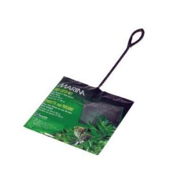 Marina Mincioc Verde 8 cm