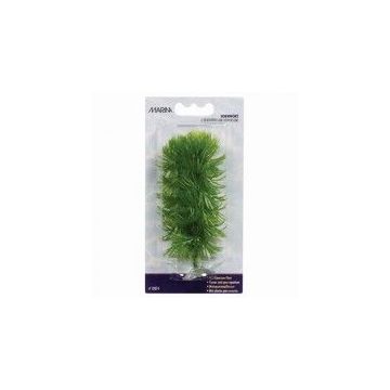 Marina Plante Mini Hornwort 12074