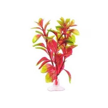 Marina Plante Mini Red Ludwigia 12076