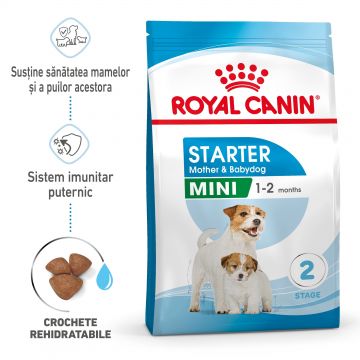 Royal Canin Mini Starter Mother & Babydog, mama si puiul, hrana uscata caine, 3 kg