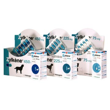 ZYLKENE 225 mg x 30 caps