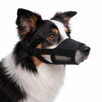 Botnita pentru caini din nailon, ajustabila - L