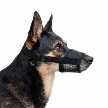 Botnita pentru caini din nailon, ajustabila - XL