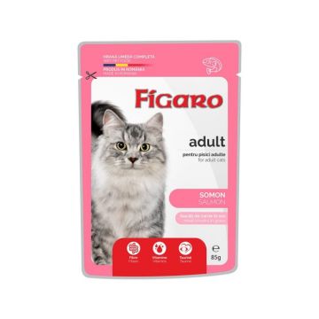 Figaro, hrana umeda completa cu somon pentru pisici adulte 100 g