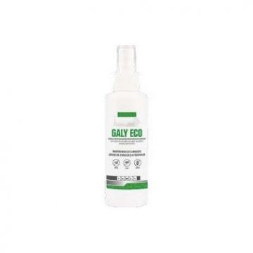 GALY ECO SPRAY, Pasteur, solutie uz extern, 100 ml