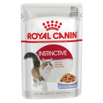 Hrana umeda pentru pisici Royal Canin Instinctive Jelly 85 gr