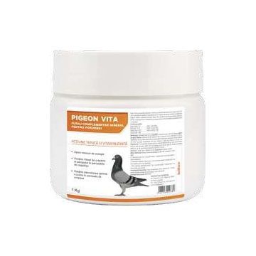 PIGEON VITA, Pasteur, pulbere orala pentru porumbei, 1 kg
