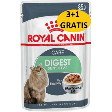 ROYAL CANIN FHN Digest Sensitive Plic pentru pisici