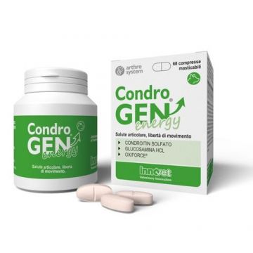 CondroGEN Energy, 60 tablete