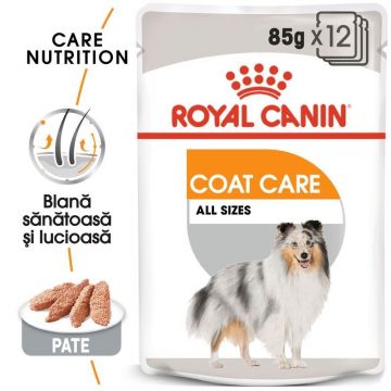Royal Canin Coat Care Adult hrana umeda caine, blana sanatoasa si lucioasa (pate), 12 x 85 g la reducere