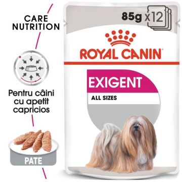 Royal Canin Exigent Adult hrana umeda caine, apetit capricios (pate), 12 x 85 g la reducere