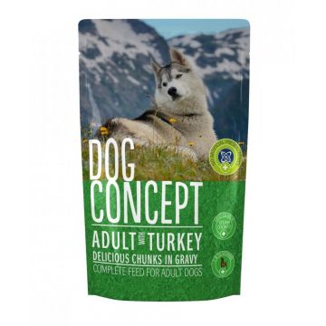 DOG CONCEPT Curcan, 100 g