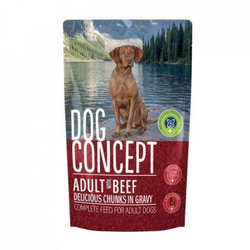 DOG CONCEPT VITA PLIC 100 G ieftina