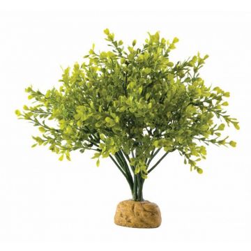 EXO TERRA PLANTA BOXWOOD BUSH PT2994 ieftin