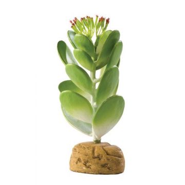 EXO TERRA PLANTA JADE CACTUS PT2984 ieftin