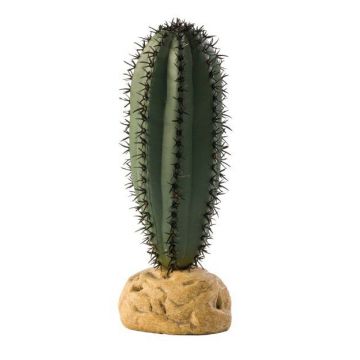 EXO TERRA PLANTA SAGUARO CACTUS PT2981 de firma original