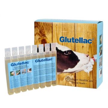 Glutellac 3x8 50 ml