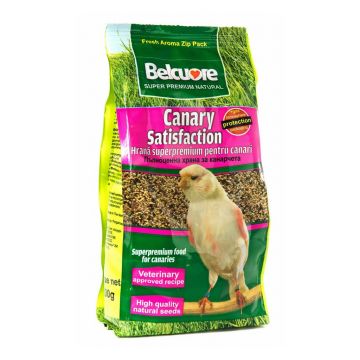 HR CANARI BELCUORE SATISFACTION 500 G de firma originala