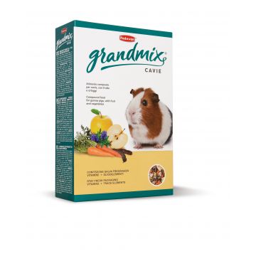 Hrana Grandmix Guineea Pig, Padovan, 850 g de firma originala