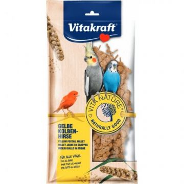 Supliment alimentar pentru pasari, Vitakraft Vitanature Spice Mei, 100 g ieftina