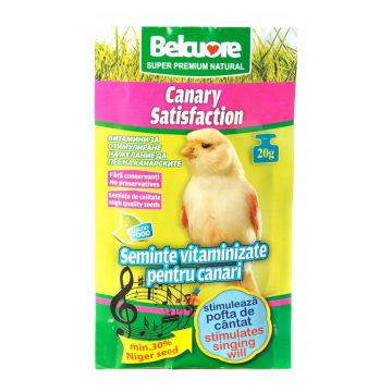 VITAMINE CANARI BELCUORE CANTEC 20 G