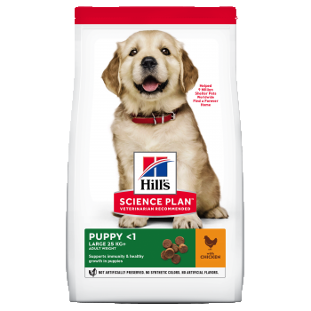 Hill's Science Plan Canine Puppy Large Breed Chicken