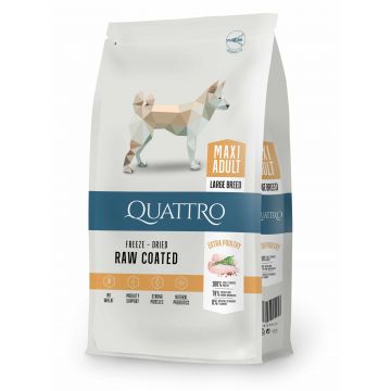 Hrana uscata, QUATTRO Premium MAXI Adult, carne de pui, 12 kg