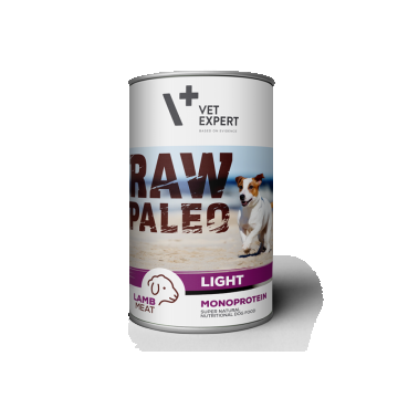 Raw Paleo Light, Conserva Monoproteica, Miel, 400 g