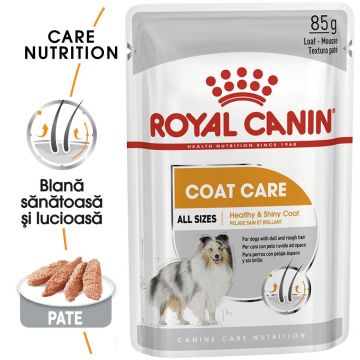 Royal Canin Coat Care Adult hrana umeda caine, blana sanatoasa si lucioasa (pate), 85 g ieftina