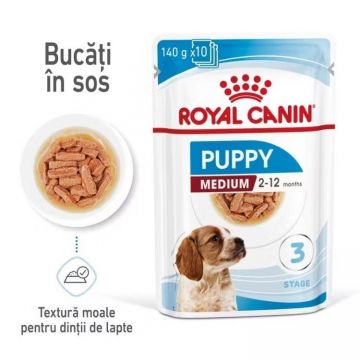 Royal Canin Medium Puppy hrana umeda caine junior (in sos), 140 g