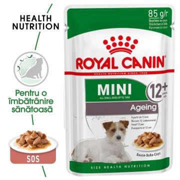 Royal Canin Mini Ageing 12+ hrana umeda caine senior (in sos), 85 g ieftina