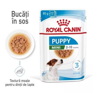 Royal Canin Mini Puppy hrana umeda caine junior (in sos), 85 g ieftina