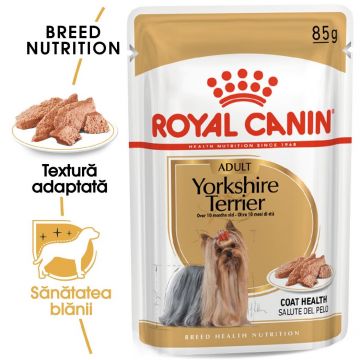 Royal Canin Yorkshire Terrier Adult (pate), 1 plic x 85 g ieftina
