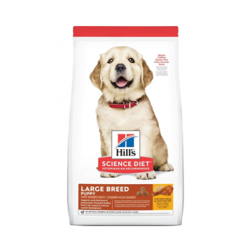 HILL'S Puppy Large Breed hrană uscată pentru pui de talie mare, cu pui 14,5 kg