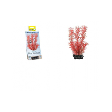 TETRA DecoArt Plant M Foxtail Red 23 cm