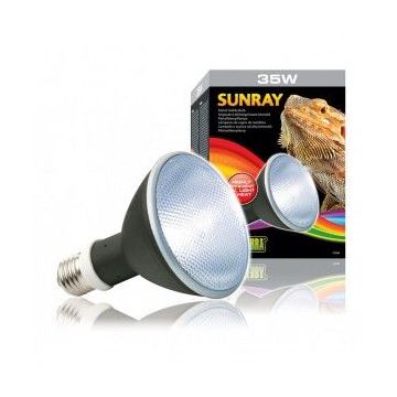 BEC EXO TERRA SUNRAY