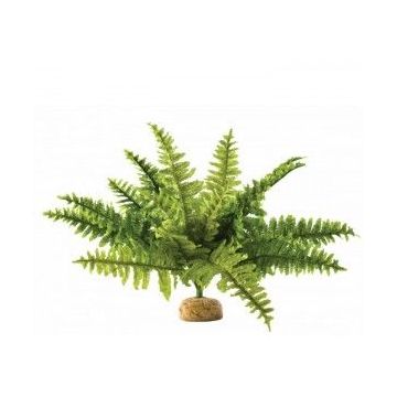 Exo Terra Planta Boston Fern ieftin