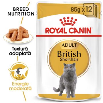 Royal Canin British Shorthair Adult, hrana umeda pisica in sos/ gravy, 12x85 g la reducere