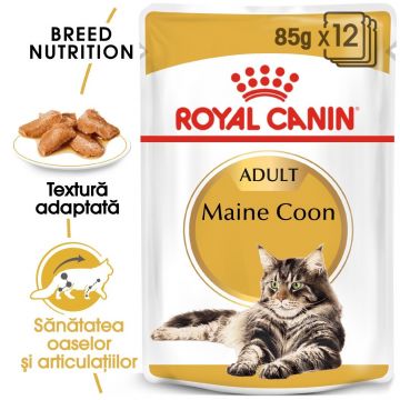 Royal Canin Maine Coon Adult hrana umeda pisica (in sos), 12x85 g ieftina