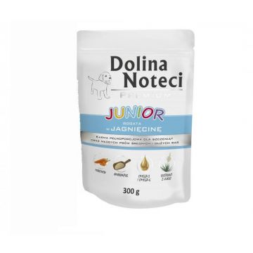 Dolina Noteci Plic Junior, Miel, 300 g