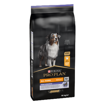 PURINA PRO PLAN ADULT Performance, Toate Taliile, Pui, 14 kg la reducere