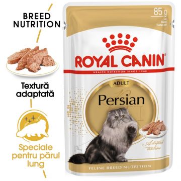 Royal Canin Persian Adult hrana umeda pisica (pate), 85 g ieftina