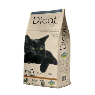 Dibaq DNM Premium Dican Up Complete Recipe, 14kg ieftina