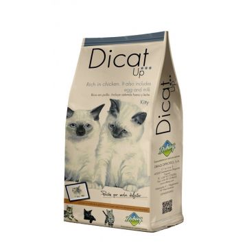 Dibaq DNM Premium Dican Up Kitty, 1.5 kg