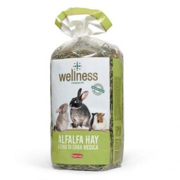Fan rozatoare, Wellness Alfalfa Hay, 500 g