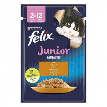 Felix Fantastic Junior, Pui, 85 g